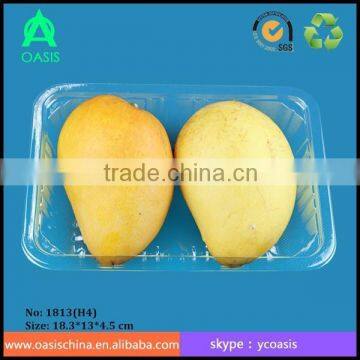 500ml Disposable Blister Plastic PET Food Tray/PET Plastic Tray for Food photo-2