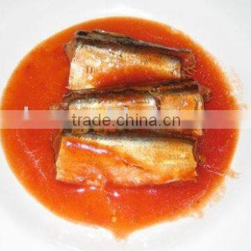 Canned Sardine Fish in tomato sauce, sardine,canned food