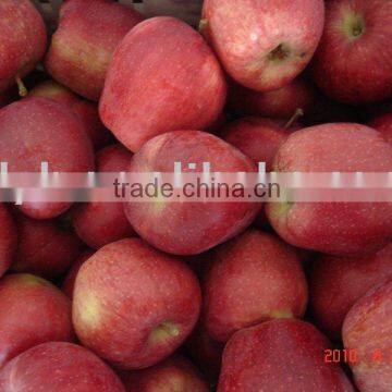 Fresh Huaniu Apple