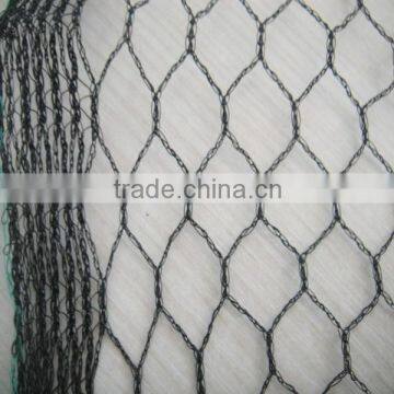 New HDPE Monofilament Anti Bird Net China Supplier