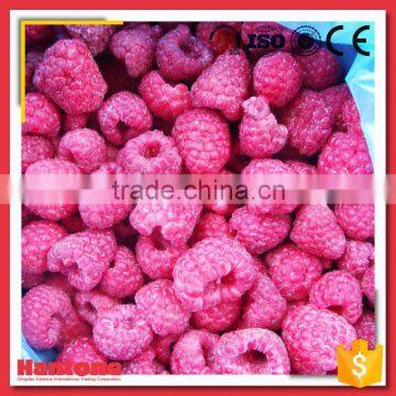 Whole Red Frozen Iqf Raspberry From China