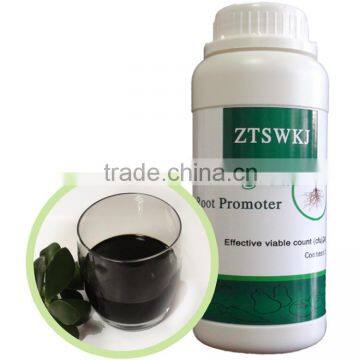 Liquid Rooting Seeding Germination Cuttage Seaweed Bio Organic Fertilizer photo-3