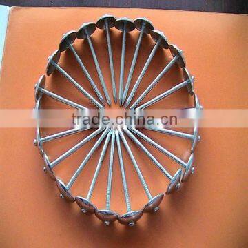 Corrugated Roofing Nails photo-6