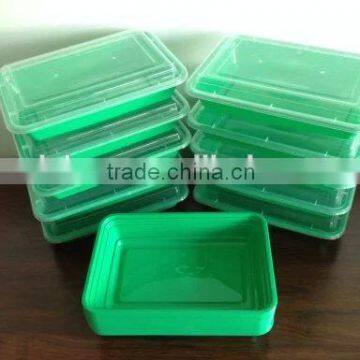green color single compartment microwave safe food container with clear lid 28oz or 800ml