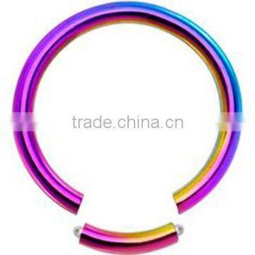 Rainbow Plated Circular Segment Rings 14G - 6G , Eyebrow , Lip , Septum , Cartilage , Tragus , Plugs