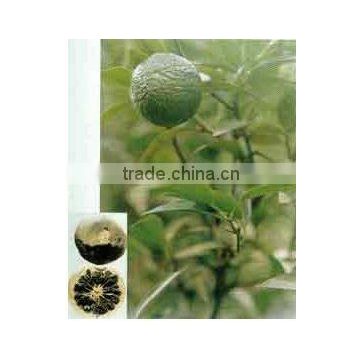 citrus aurantium extract