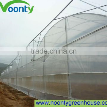 Greenhouses For Tomatoes