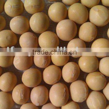 Organic Chinese Yellow Soybean