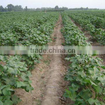 easy operated cotton hoeing machine in narrow ditches