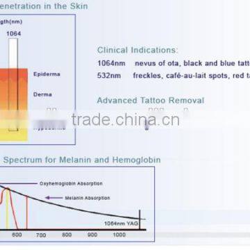 1064nm Pigment Removal Yag Laser Tattoo Removal Jundeli Hair Remover photo-4