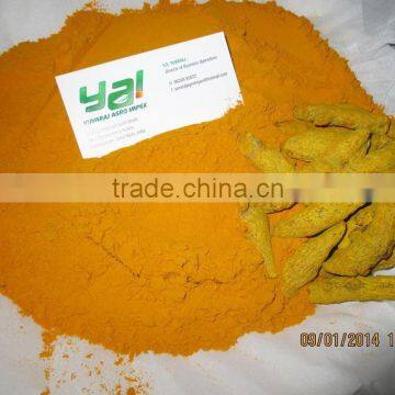 Indian Turmeric Powder Supplier list