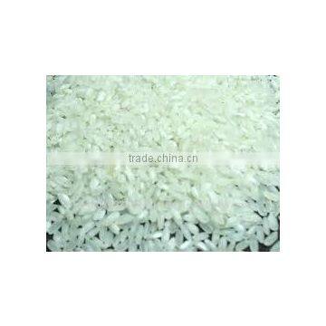 20% Broken Vietnamese Long Grain White Rice