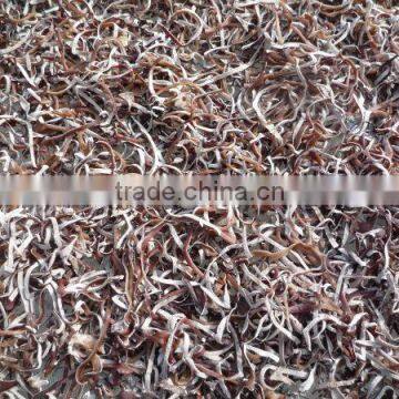 Dried White back black fungus strip