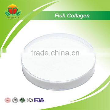 Best Selling Fish Collagen