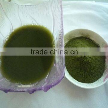 2015 Healthy Vegetable Powder- Organic Barley Grass Powder photo-6