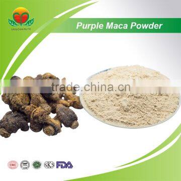 Competitive Price Purple Maca Powder