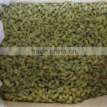 Sweet Green Raisin photo-6