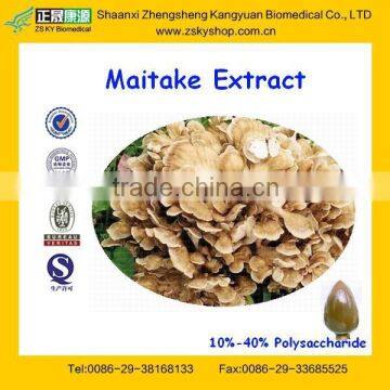 High Quality Maitake Mushroom Sale 10%-40% Polysaccharide from GMP Supplier