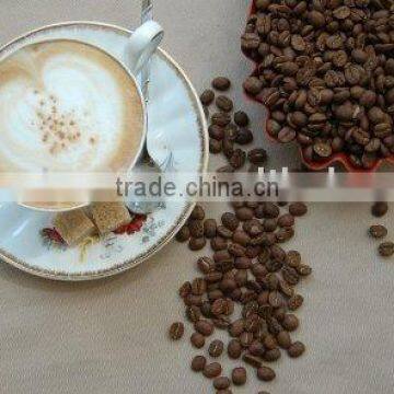 Arabica coffee bean