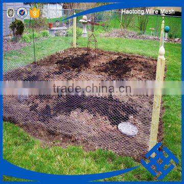 Useful Fish Trap Hexagonal Wire Mesh photo-2