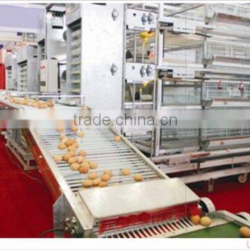 Poultry Automatic egg collecting machine for chicken farm made in china