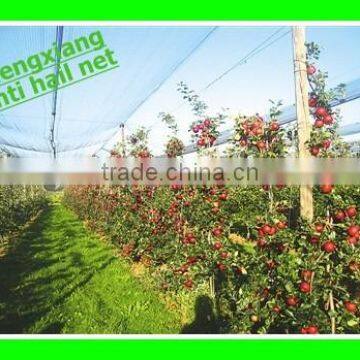 85g Apple Tree Anti Hail Net