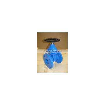 Iron Casting Gate Valve F4-DIN photo-4