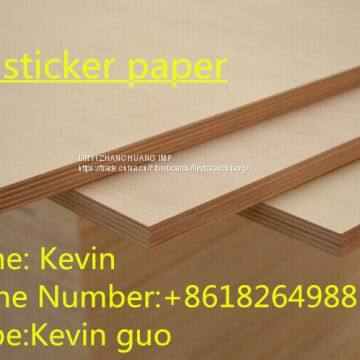 Film Faced Plywood photo-3