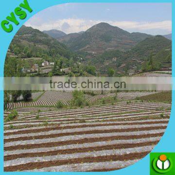Agriculture PE Material Pre-stretch Perforated Mulch Film With UV Resistant