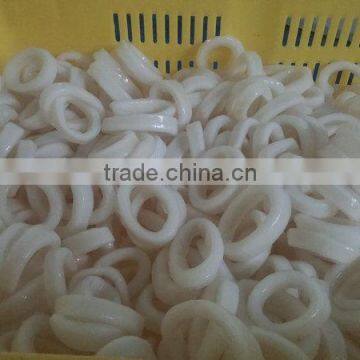 Hot Sale High Quality Illex Squid Ring photo-2