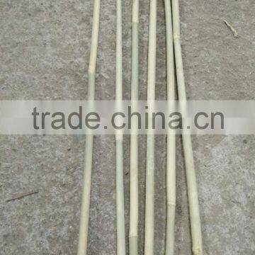 8~10mm * 120cm Dried Tonkin Bamboo Sticks