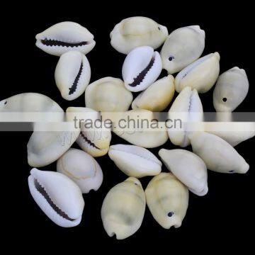 Trumpet Shell Cowry Shell Beads