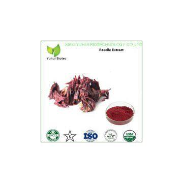 roselle extract,DRY ROSELLE POWDER,Hibiscus sabdariffa extract,Hibiscus extract