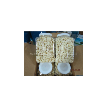 Whole Sale Fresh Peeled Garlic in China