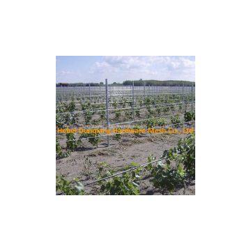 Electrostatic Coating Popular Metal Vineyard Trellis Post
