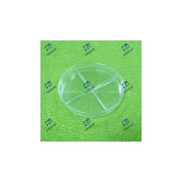 Transparent Petri Dish with Four Compartments