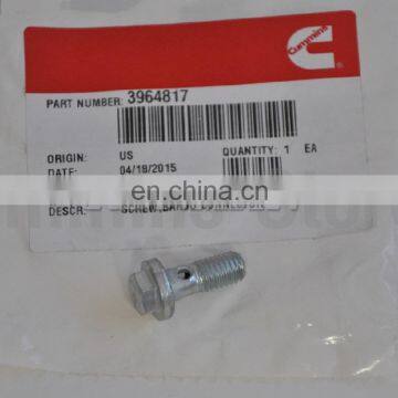 3964817 Foton Cummins Engine ISF3.8 Piston Cooling Nozzle Banjo Connector Screw
