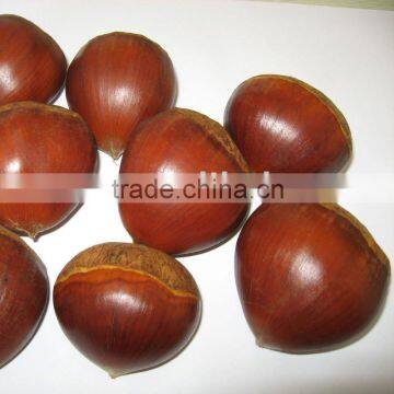 Danton Jinhua Fresh Chestnut