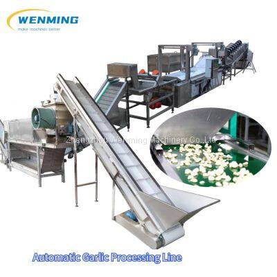 1000kg Automatic Garlic Peeling Production Line Garlic Peeling Machine Industrial Garlic Peeling Processing Line photo-5