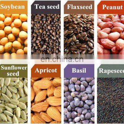 Hydraulic Olive Cold Oil Press Machine Turkey photo-4