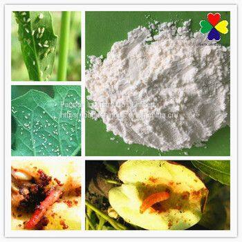 Hot Sale Insecticide Pour Chenille Dinotefuran 98%tc Cas 165252700 With Competitive Price photo-3