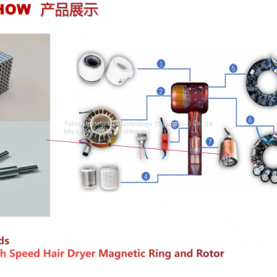 Latest Customized N38SH 42SH 45SH High Temperature Resistance High Precision Sintered Neodymium Magnet for High Speed Hair Dryer Motor Rotor