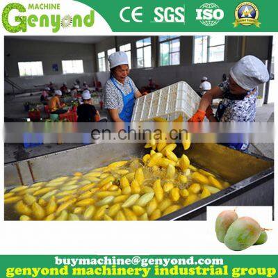 Complete Mango Jam Paste Puree Processing Plant photo-2