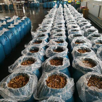 Xiuyan Funong Edible Fungi Production Professional Cooperatives company overview - view 2