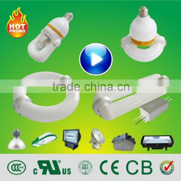 HB 23w 40w 80w 120w 150w 200w 300w 400w circle induction lamp