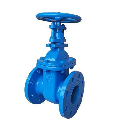 Oil and Gas Industry ANSI Hard Seal Cast Iron Gate Valve, ANSI B16.10 Face to Face Standard for Pipeline Systems photo-1