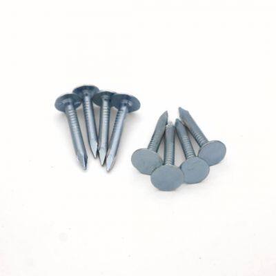 25mm Roofing Felt Nails - Custom Packaging Available from China Factory Direct