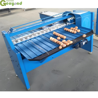 Genyond Automatic Egg Grading Packing Machine