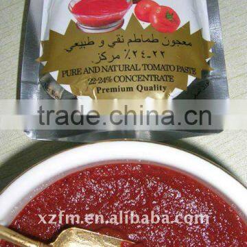 70g *25 pouches*4boxes tomato paste in standing pouch