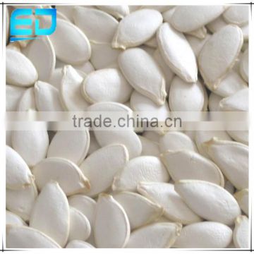 Nuts Agriculture and Nut in Dalian Pumpkin Seeds for Grade A Snow White